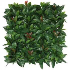 Jardín Vertical Fotinia (0,50 x 0,50 m) x ud.