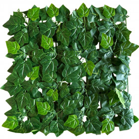 Jardín Vertical Aralia (0,50 x 0,50 m) x ud.