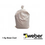 Base Coat (fraccionada) Webertherm  X 1 Kg